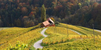Nagradna igra: Knjižica Živali na slovenskih kmetijah