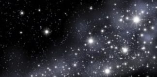 Lekove zvezde so HRM-projekt leta 2009