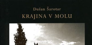 Dušan Šarotar: Krajina v molu