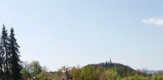 Arboretum Volčji potok
