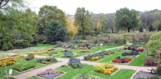 Arboretum