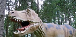 Svet dinozavrov v Arboretumu Volčji Potok