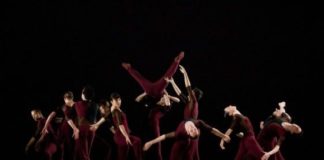 O predstavi Shen Wei dance arts