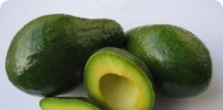 Avokado