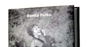 Pocestnica (kritična ocena) dela Benke Pulko