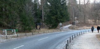 Ojstrica in Osojnica – doživite najlepši pogled na Blejsko jezero