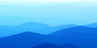 Obrestnoobrestni račun (3P-6)