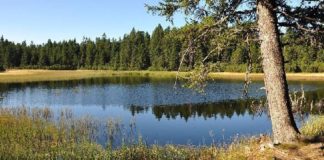 Črno jezero na Pohorju