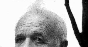 Dane Zajc: Šum žalosti