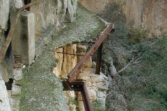 Camino