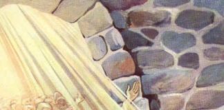 Kaj nam sporočajo koledarji Majev?  (8. del)