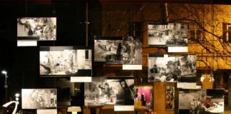 Marko Mrše: Kot doma