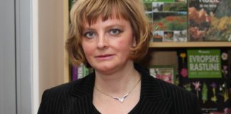 Vladimira Rejc: Razgaljena bližina