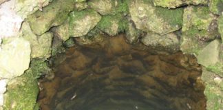 Voda – le kaj bi brez nje?