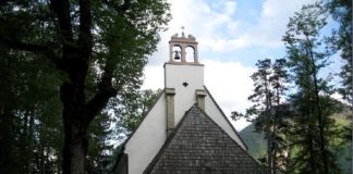 Razstava slik Evgenije Jarc: Zlate žene
