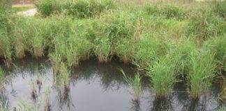 Slovenija energetsko zelo potratna