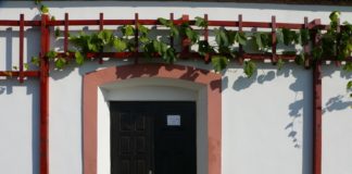 Kjer vino zori in se gost veseli