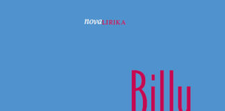 Billy Collins: Kidanje snega z Budo