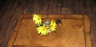 Bolne in zdrave hiše