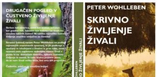 Peter Wohlleben: Skrivno življenje živali
