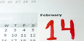 Dogodki v mesecu februarju