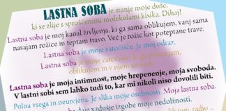 Pred-premiera '13: Lastna soba