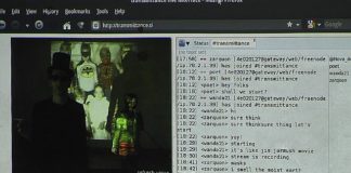 Premiera novega večmedijskega in medmrežnega performansa v Puli