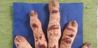 Nagrajenci nagradnega likovnega natečaja Noč čarovnic