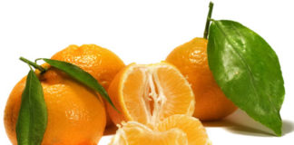 MANDARINA – idealen sadež za ohranjanje vitke linije