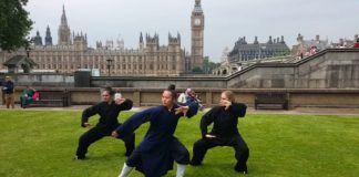 KUNG FU IN QIGONG WUDANG MOJSTER YUAN LI MIN
