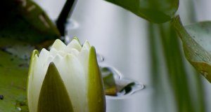Misel za današnji dan