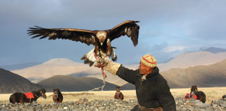 Mongolija