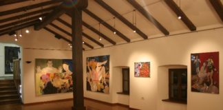 Slika je ženskega spola