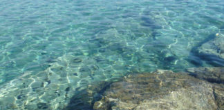 Kajetan Kovič: Južni otok