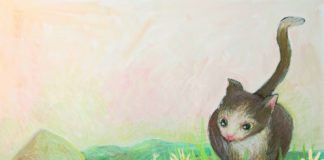 Ilustracije Daše Simčič