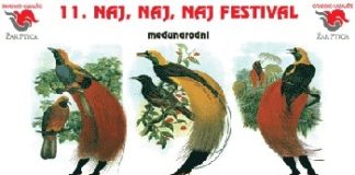 Mednarodni »Naj