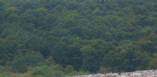 Kako dolga je pot do smetnjakov?