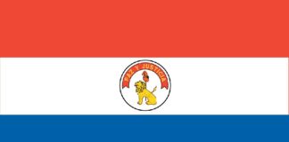 Divjaki