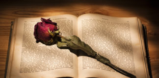 Kaj vam pomeni poezija?