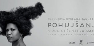Pohujšanje v dolini šentflorjanski