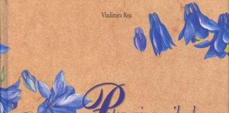 Vladimira Rejc: Potovanje nemih obrazov (Zavod za kulturno in publicistično ustvarjalnost VR)