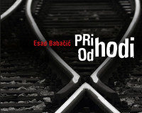 Esad Babačić pesniška zbirka Prihodi
