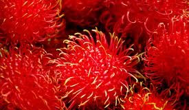 Kaj je rambutan?
