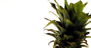 Kako ponudimo ananas?