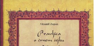 Pravljica o črnem šejku z rdečo rožo