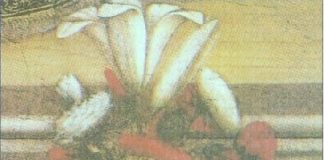 192. Mozartovi družinski dnevi