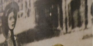 Pravljice  »tršice« Tončke Senčar
