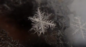 Zvezdana Majhen: Januarska pravljica