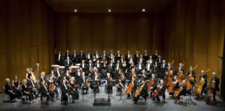 NAJAVA DOGODKA - 5. koncert Simfoničnega cikla - 24. marec 2011 ob 19.30