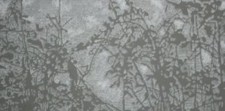 Razstava del Lucije Stramec: Odstiranje svetlobe.
